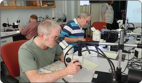 Pseudoscorpion ID Course
