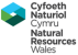 Cyfoeth Naturiol Cymru