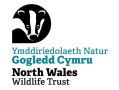 NWWT Logo (new)