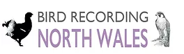 BRNW Logo