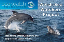 SeaWatch
